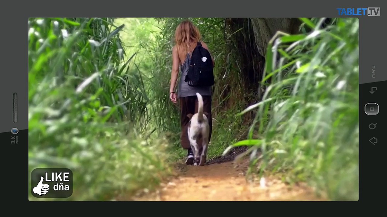 LIKE DŇA: S dávkou odvahy môže každý dať výpoveď a odísť, kam len chce