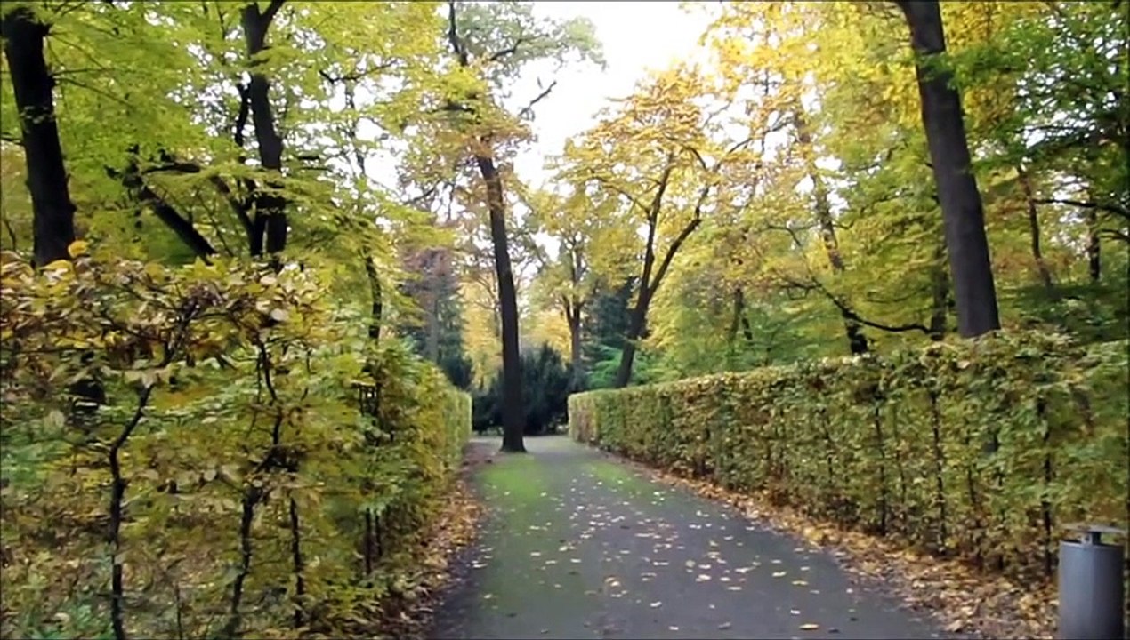 "Herbst im Schlosspark-Charlottenburg-Berlin"-Live Video von Karin und Wolfgang Schmökel