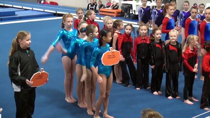 River City Gymnastics Level 4 Meet Mattoon IL 11/4/2012