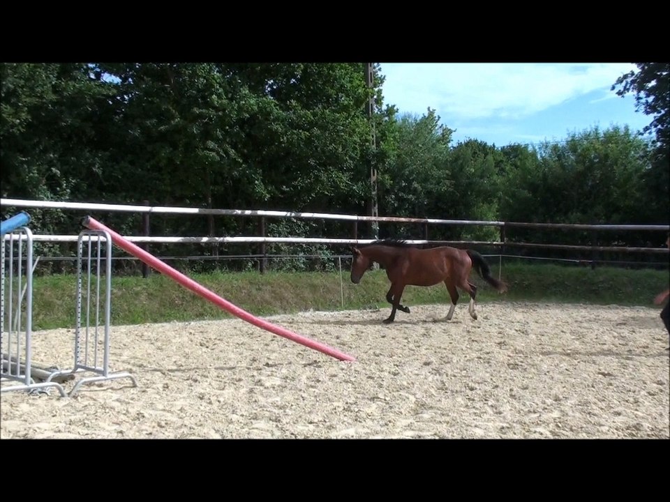 D'Inextasi des Lines