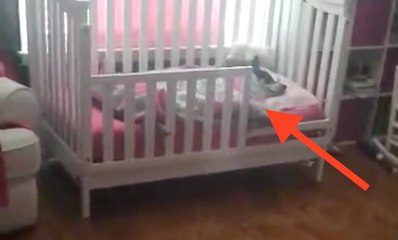 Une femme surprend son chien adopté en train de faire quelque chose d'adorable.