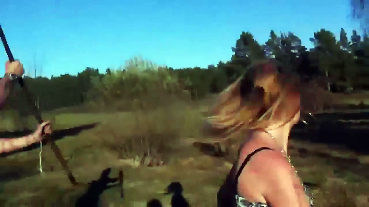 How to handle a Moose attack