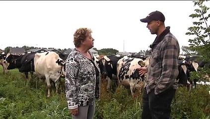 Het Weer: Harma bie de boer [27-7-2015] - RTV Noord