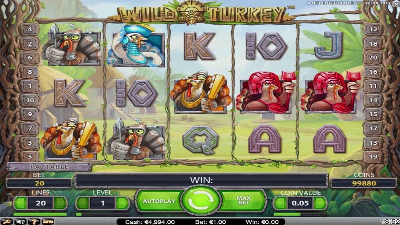 CasinoBedava'dan Wild Turkey slot oyunu tanıtımı