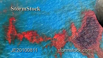 BP Gulf oil spill disaster video