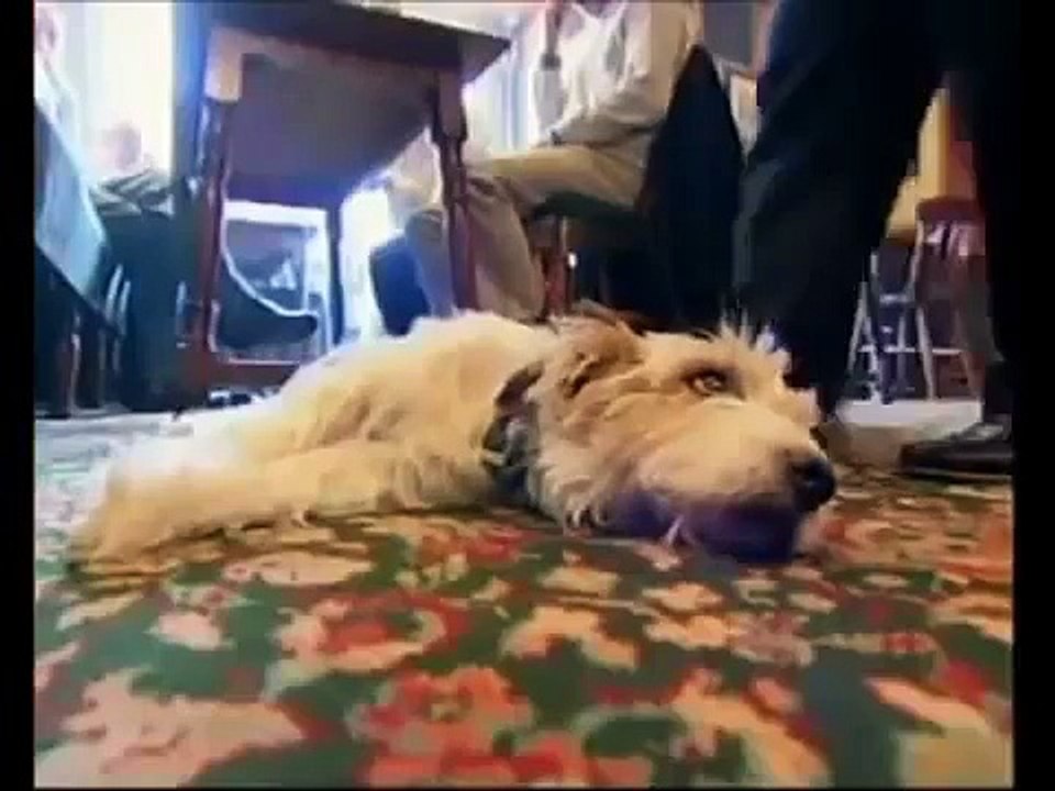 Isle of Man - The Heron - Britains Toughest Pubs