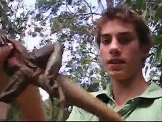 steve irwin tribute (jordan chalustowski)