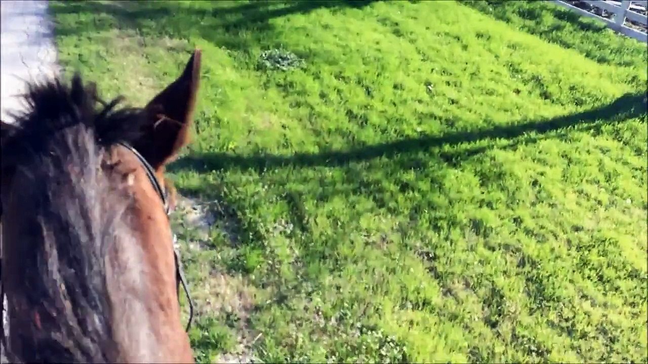 New Saddle and Aisle Peeing - VLOG 3/26/15