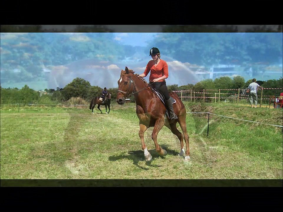 Mon amour de cheval ♥