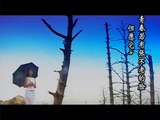 卓依婷-眼泪 (Timi Zhuo) (Trác Y Đình) (Ultra HD)
