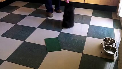 les devoirs à la maison, Mila de Diloukoïra