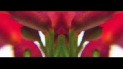 Nature fragmentée OPUS III © Eric Imbault 2015