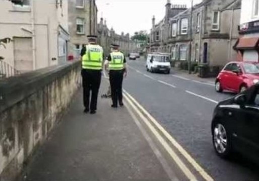 Protective Police Escort Ducks to Safety