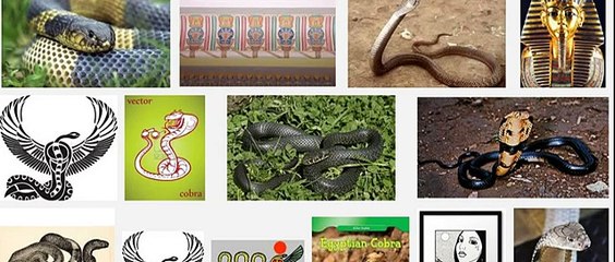 Lizard Proboscis Another Type Reptilian Being?