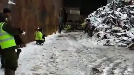 Caza de ratas con perros
