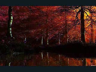 10.imaan or haya by hafiz muhammad ibrahim naqshbandi db