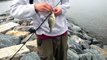 Fishing Chesapeake Bay: White Perch