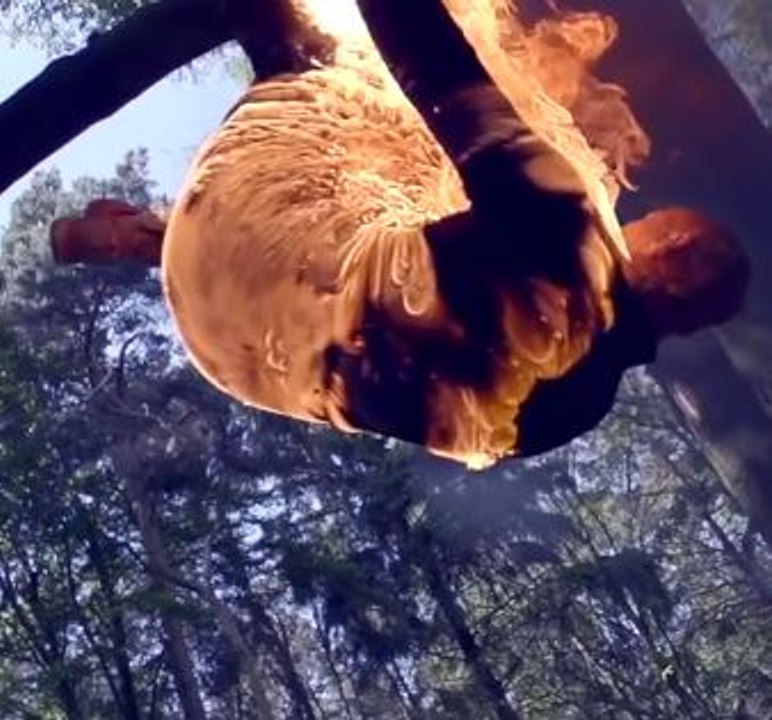 Damien 'Flamien' Walters Vs Fire | Damien Walters