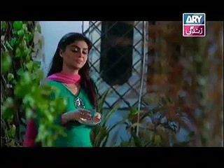 Raja Inder Episode 48 Full Ary Zindagi Drama July 27, 2015