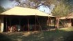 African Safari - the Great Migration - Serengeti Exclusive Mobile Camps- Simiyu