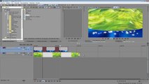 Quitar lineas Horizontales y verticales, fondo negro en videos o imagenes en sony vegas