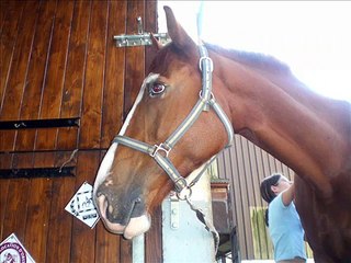 mon histoire avec loustik