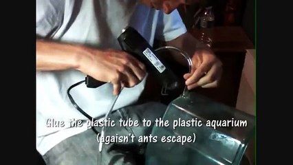 How to build an ant nest 2