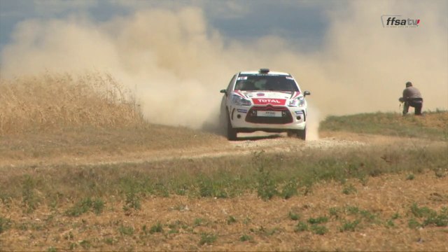 Les coupes de marque au Rallye Terre de l'Auxerrois 2015