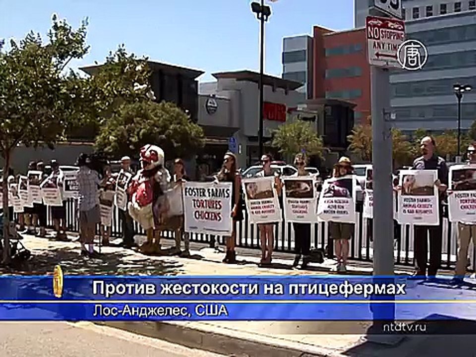 Моби против негуманного обращения с птицами на фермах