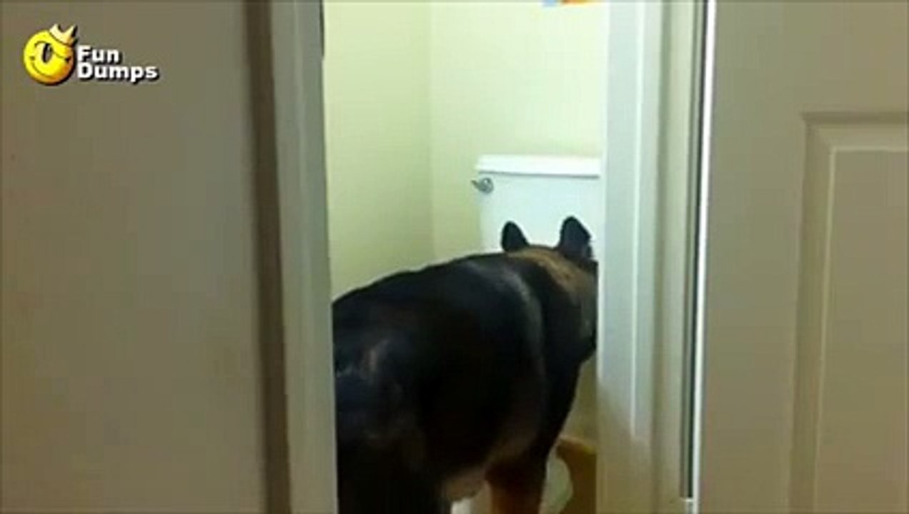 This is toilet training