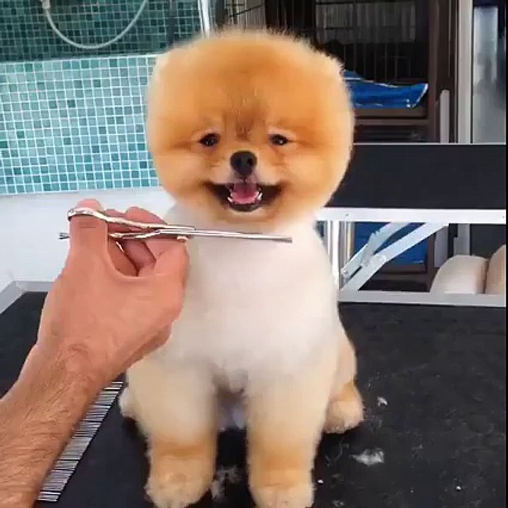 Time to shave