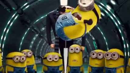 Clip funny Minions cartoon   Minions films   Fight Like WWE