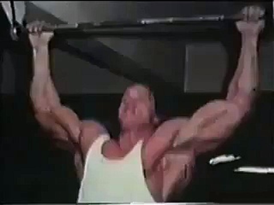 Arnold Schwarzenegger pull ups