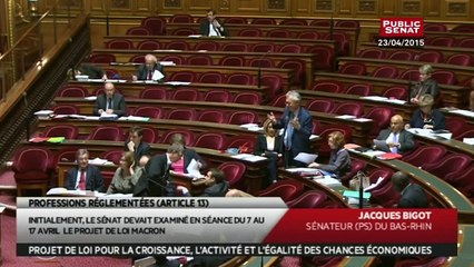 Best of sur l'examen des professions réglementées sur le projet de loi Macron - En séance