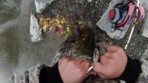 Lure Fishing #3 - Burning Blue Fox Spinners for Big Smallmouth Bass in a Small River
