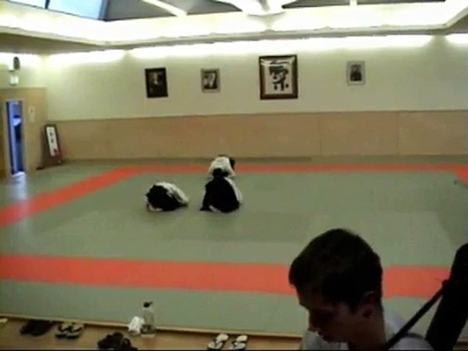 aikido 3rd kyu grading