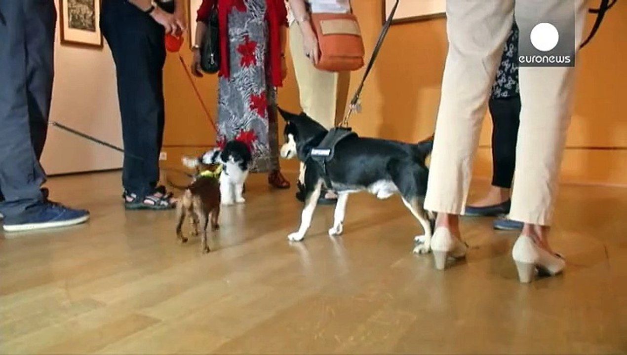 Я поведу тебя в музей, моя собачка!