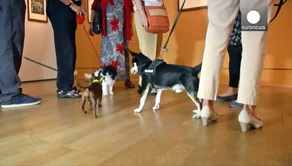 Hund trifft Hund im Museum
