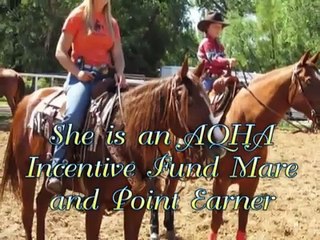 *Sold* Just Wana Shine - 2005 AQHA Mare - NRCHA & RSNC Money Earner!