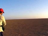Falconry in Morocco تربية الصقور بالمغرب
