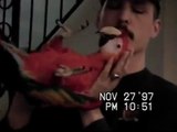 SCARLET MACAW PLAYING PEEK-A-BOO AND TALKING VERY CUTE - .mpg