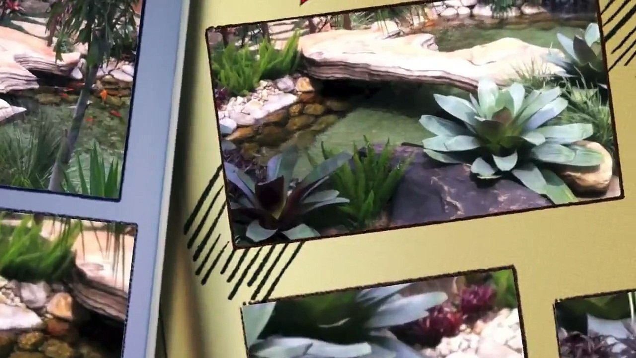 Lagos Ornamentais - Cubos e Art Lagos