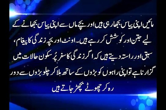 اونٹ اور بچہ زندگی کا پیغام،سبق اور راستہ دیتے ہیں کہ اگر زندگی کا سفر پُرسکون حالات میں گزارنا ہے تو اپنی راہوں کو بڑو