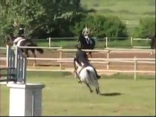 FEI Jumper AND Dressage Pony For Sale