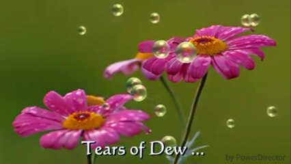 mMm * Huseyn Abdullayev - Tears of Dew...