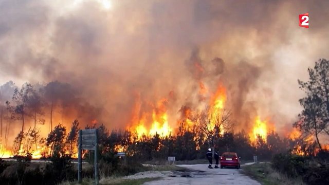 Incendies : que faire des espaces verts sinistrés ?