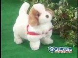 日本直販は大変な愛犬ロボを宣伝していきました