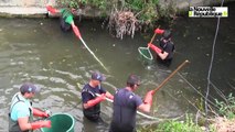 VIDEO. Pêche de sauvegarde à Boinot (Niort) : 75 kg de poissons prélevés