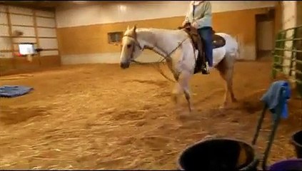 Pearl Dreamer - 2001 ApHC Mare For Sale