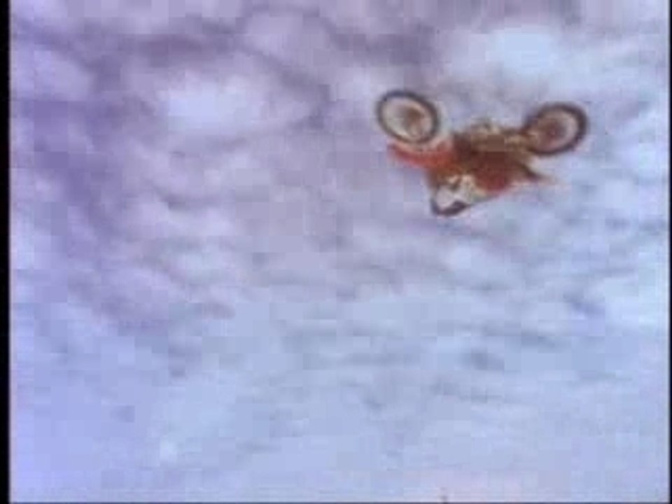 Travis Pastrana -  ( Fmx Crusty) 2/3